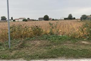 RGE 178/2024 Tribunale Verona - Lotto 2)