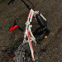 Bicycletta elettrica