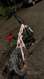 Bicycletta elettrica