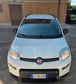 Panda Hybrid 1.0 firefly 