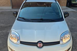 Panda Hybrid 1.0 firefly 