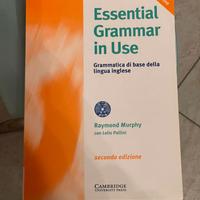 Libro grammatica di base inglese Cambridge