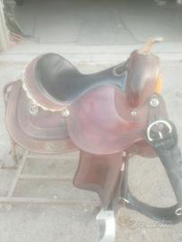 sella western Denver 