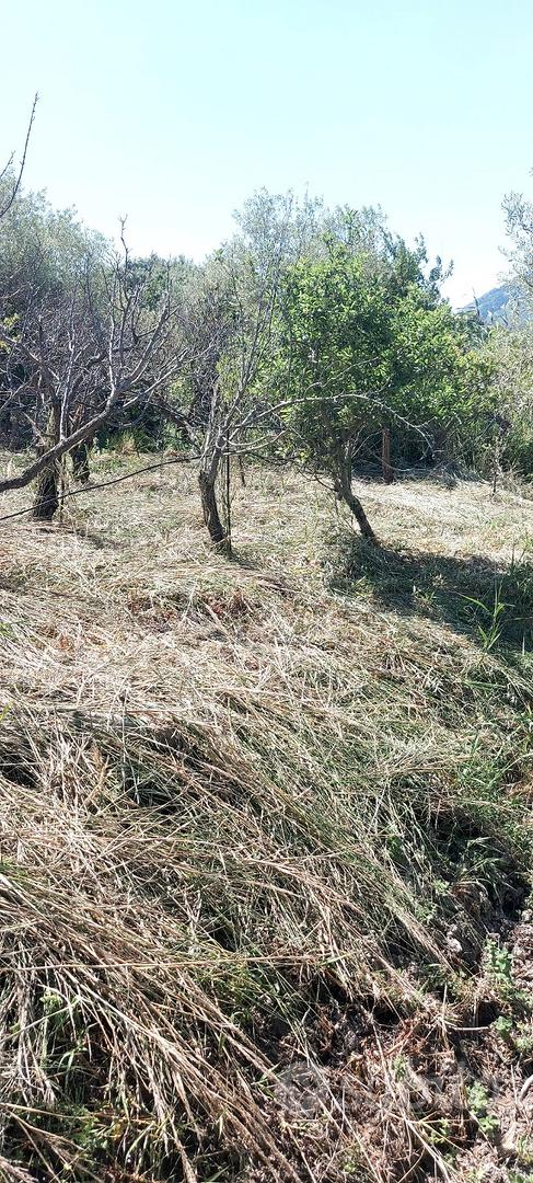Terreno in Contrada Giardinaccio - Vista 5