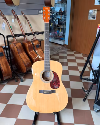 VGS D-10 Natural Usata - Chitarra Acustica Dreadno