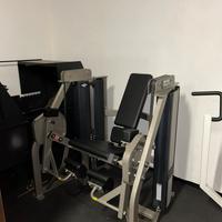 Leg extension Hammer strength