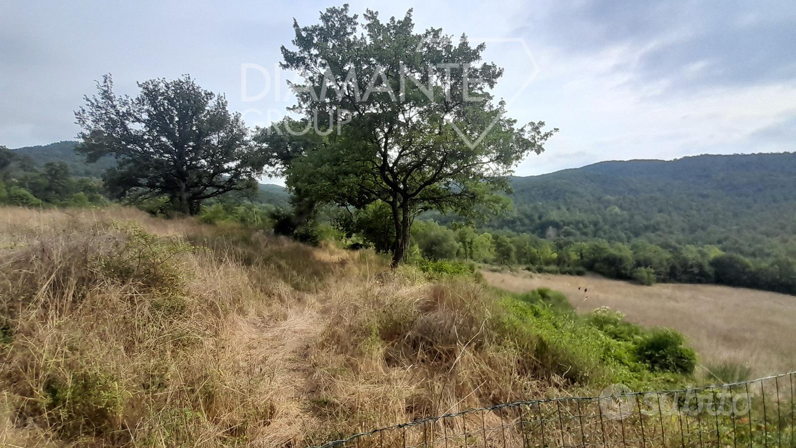 Azienda agricola con casale e 6 ettari di terreno - Vista 4