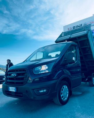 Ford Transit 350 2.0 EcoBl.130CV 4WD PM Cas.Rib.Tr