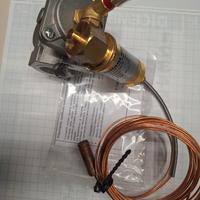 Valvola di intercettazione del combustibile