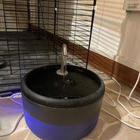 Distributore automatico di acqua