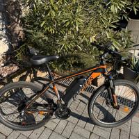 biciclette elettriche 