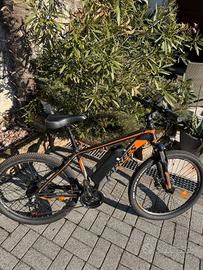 biciclette elettriche 