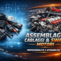 Cablaggi e centraline per swap Plug&Play