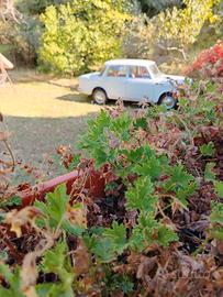 Fiat 1100 del 1969 conversata con documenti 