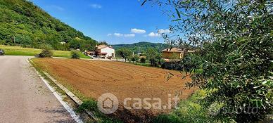 Panorama, sole e libertà, senza incubo vigneti