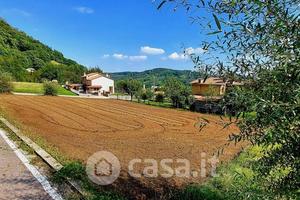 Panorama, sole e libertà, senza incubo vigneti
