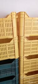 15 cassette per uva e olive 