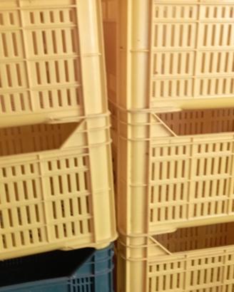 15 cassette per uva e olive 