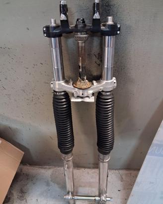 FORCELLE ALTE PER R100GS