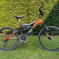 Bicicletta mountain bike