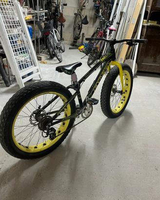 bicicletta fatbike