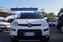 fiat-panda-1-0-firefly-s-s-hybrid