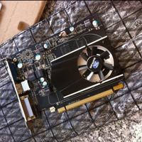 Scheda video sapphire R7 240 gb gddr5 pci-expr