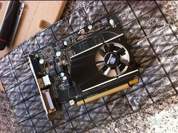 Scheda video sapphire R7 240 gb gddr5 pci-expr