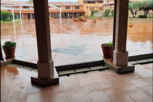 Locale commerciale porto coda cavallo