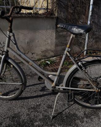 Bicicletta donna/ragazza ruota 24.