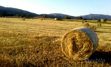 Terreno rustico Tula (SS)