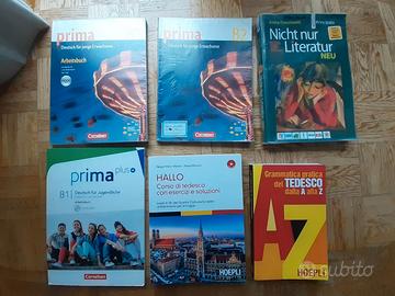 libri di scuola superiore liceo linguistico