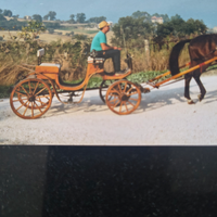 Carrozza cavallo