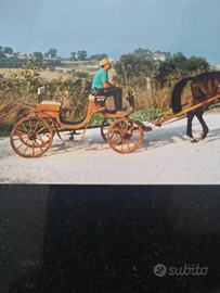 Carrozza cavallo