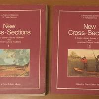 Libri d'inglese New Cross-Sections