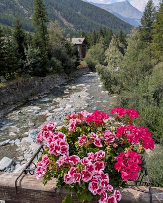 COGNE Frazione Lillaz