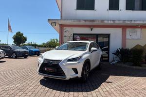 LEXUS NX 300 Hybrid 4WD Luxury