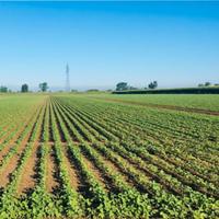 Azienda agricola a seminativo