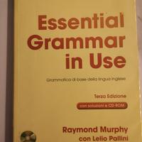 Essential Grammar in Use