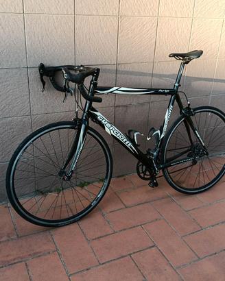 Bici da corsa Guerciotti