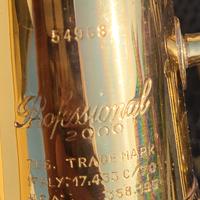 COLLEZIONE: SAX SASSOFONO PROFESSIONAL 2000,GRASSI