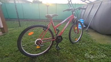 bicicletta ragazzo 26"