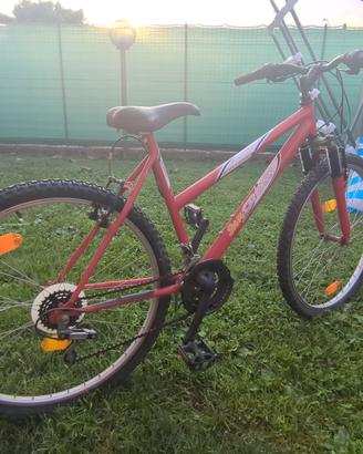 bicicletta ragazzo 26"