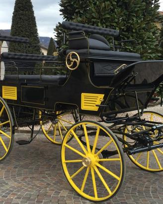 Carrozza per cavallo gran break de chasse