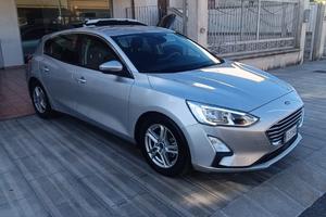 FORD Focus 1.5 EcoBlue 120 CV 5p. Business