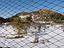 Immagine 21