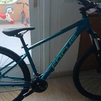 bici mtb focus 29"