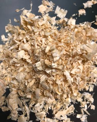 Lettiera in trucioli di legno per cavalli