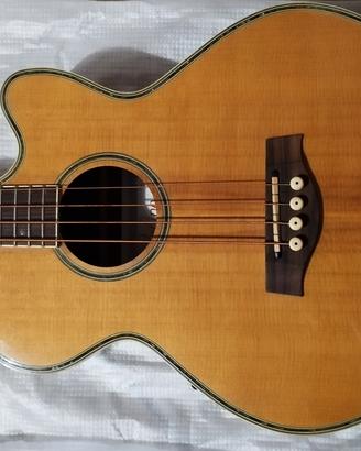 basso acustico elettrificato Rolings 