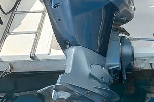 Motore fuoribordo Selva 100 Hp 4t